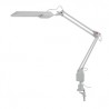 Kancelářská stolní lampa Kanlux HERON II LED W 5W  bílá (27603)